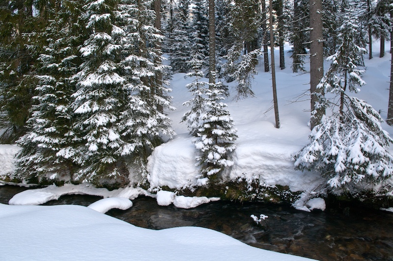 Ubytování Šumava - Šípková chalupa - příroda v zimě