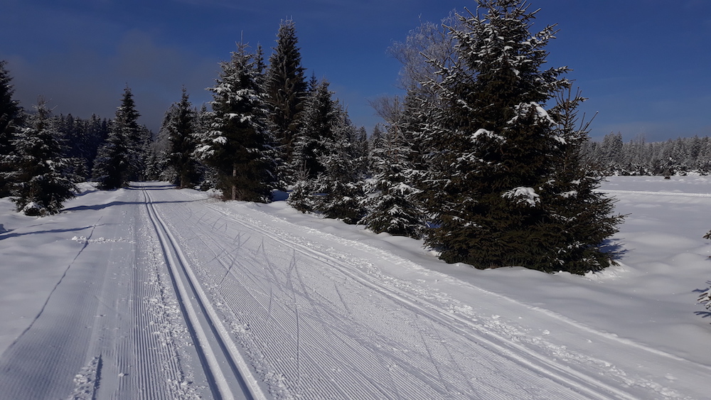 Ubytování Šumava - Šípková chalupa - okolí v zimě