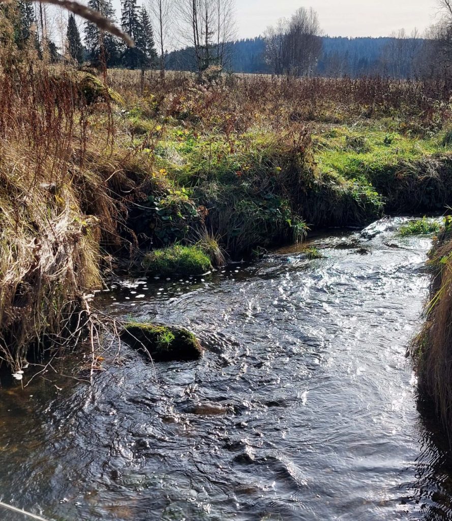 Ubytování Šumava - Šípková chalupa - příroda